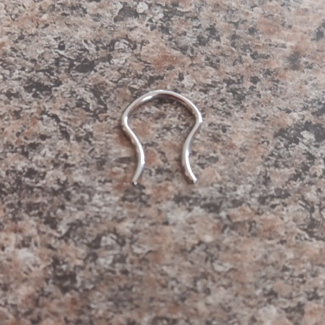 16g Surgical Steel Septum Nose Ring